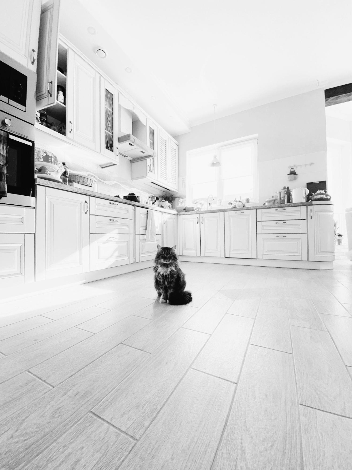 convenient kitchen floor options