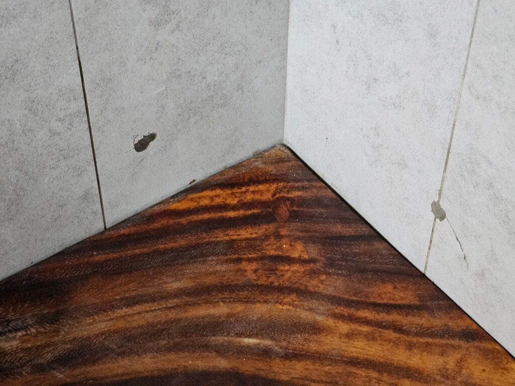 the exposed edge of the wood slab