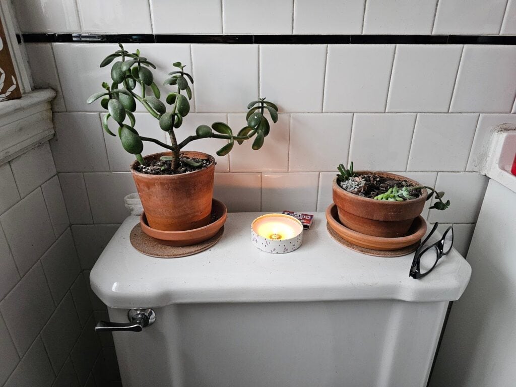 Simple Shelves Above a Toilet