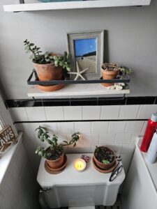 One-day bath remodeling project in Logan Circle DC home