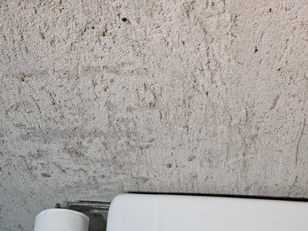 Smooth cement wall texture in a minimalist bathroom
