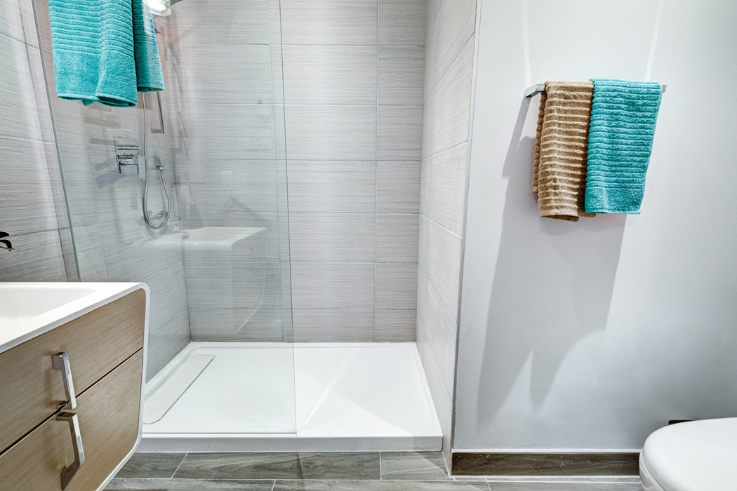 Bathroom upgrades tub-to-shower conversion in a Bethesda home