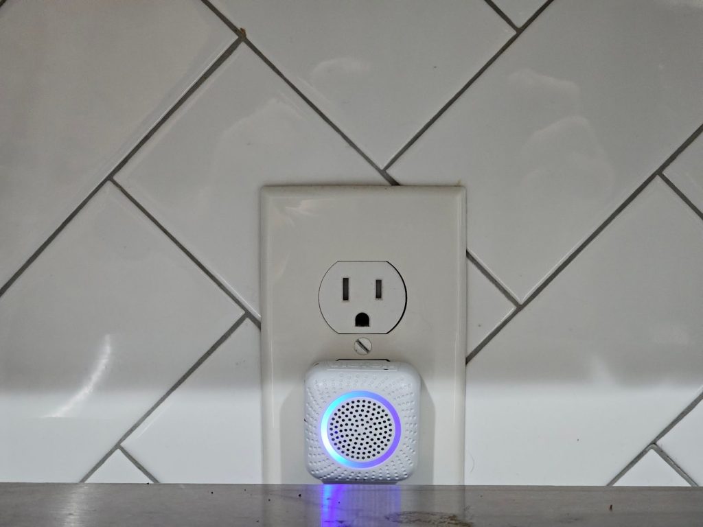 wiring was not left in the wall or in the boxes